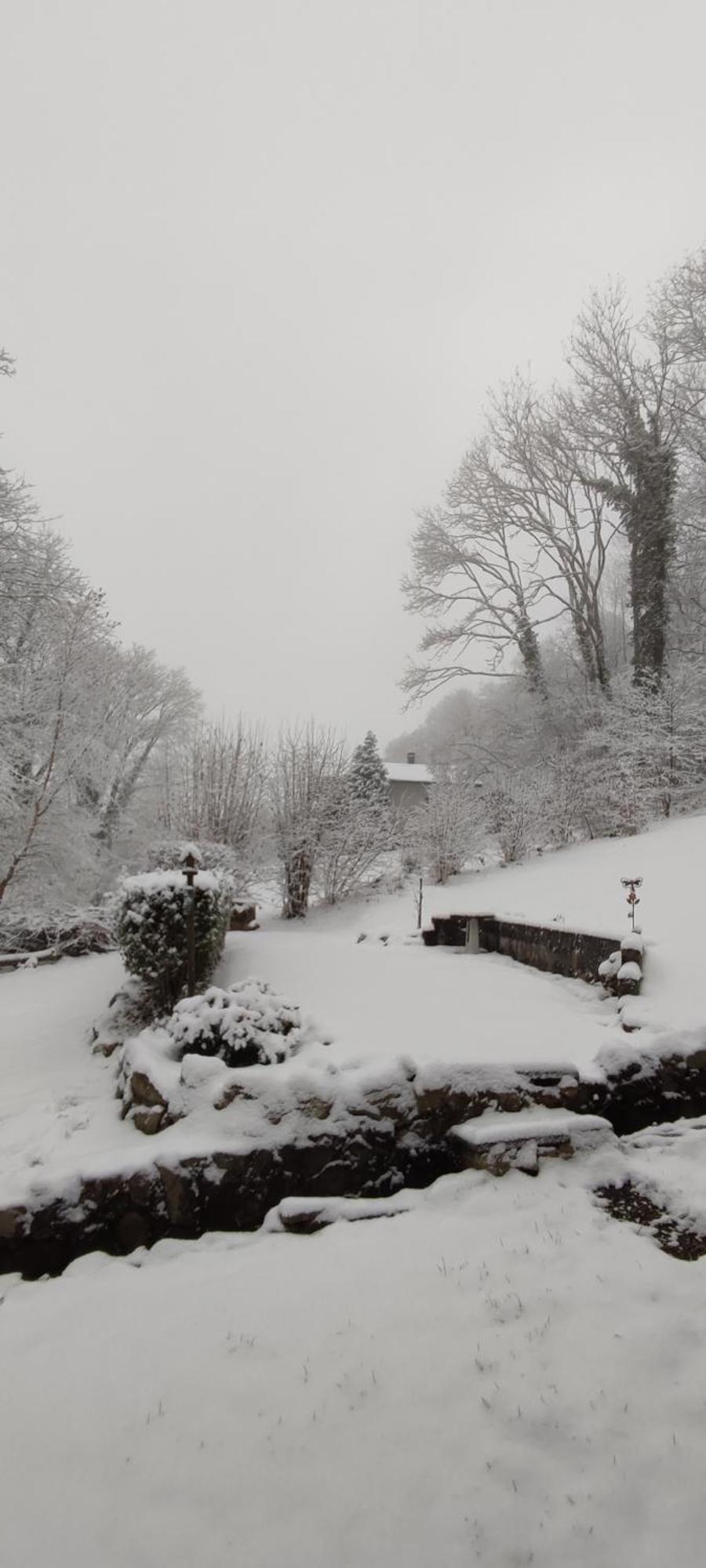 Un Air D'Alsace Villa Rimbach-près-Guebwiller Dış mekan fotoğraf